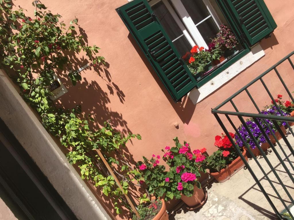 Apartment Grace, Feel At Home - Away From Home Split Eksteriør bilde